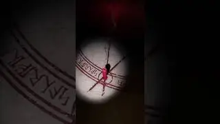 Призрак жёстко глумится над охотниками. Фазмофобия.