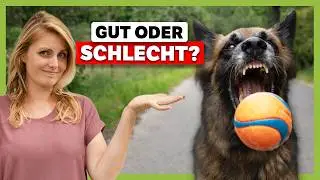 BALLWERFEN: Gut oder schlecht? | Das solltest du vorher wissen
