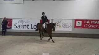 Vasnupied de Jonkiere  - Vainqueur Master des Etalons de 7 ans Saint-Lô