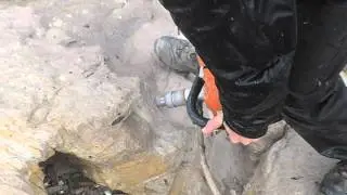 Paleomagnetism