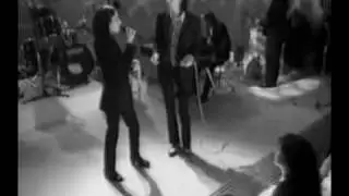 Black Hair Nick Cave