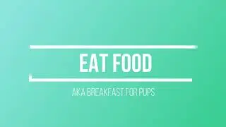 jax's morning routine!!
