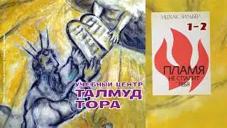№76. Книга Рава Ицхака Зильбера ПЛАМЯ НЕ СПАЛИТ ТЕБЯ (разделы 1, 2)