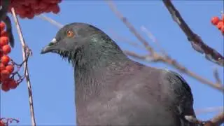 У природы нет плохой погоды