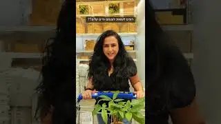 איקאה סייל  קיץ 2023 בשילוב IKEA SHOPPING DAY