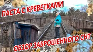 ПАСТА С КРЕВЕТКАМИ  ОБЗОР ЗАБРОШЕННОГО СНТ