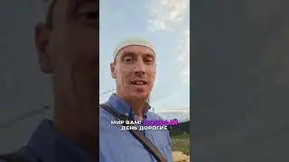Заливаем на закате! #стройка #строительство #дом #стройкадома #бетон #shorts #баринхаус
