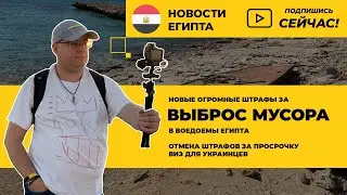Штрафы за мусор, визы для украинцев, акула в Сахл Хашише 🇪🇬 Новости Египта