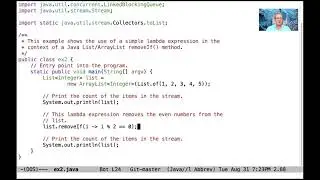 Using the removeIf() Method on a Java List