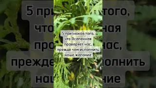 5 подсказок от Вселенной #мудрыеслова #цитаты #подсказкивселенной #советы #человечество #мир #любовь