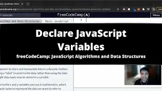 Declare JavaScript Variables (Basic JavaScript) freeCodeCamp tutorial