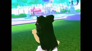 😎