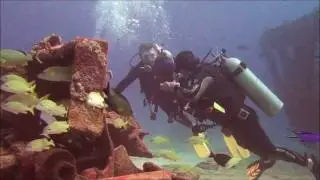 #CancunWreck C-58/Eagle Rays.divePro Cancun Diving
