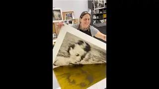 Pulling a print! Direct to Plate photopolymer gravure, by Vaune trachtman.