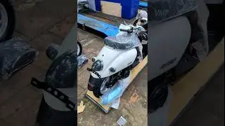 Новое поступление скутеров VMC RETRO 