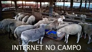 MobilizaMobilização Trip Rural/AMAVAP - Internet e telefonia móvel na área rural de Pindamonhangaba