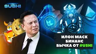 🐂 USHI и Илон Маск. Рейды, шиллинг, Бинанс