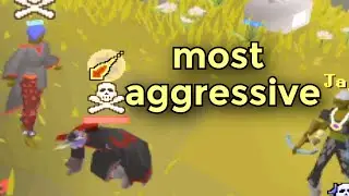 The most aggressive pure on Runescape