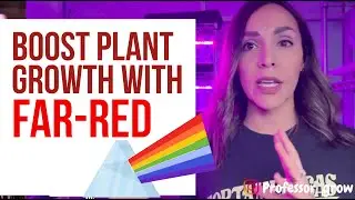 How Far-Red Light Can Improve Plant Development