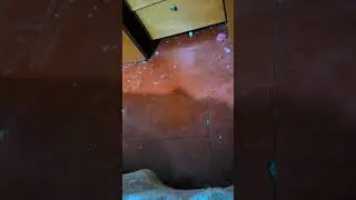 amigos me mude a mexico 🇲🇽