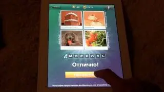 Что за слово? - 4 фотки 1 слово - ответы 141-160