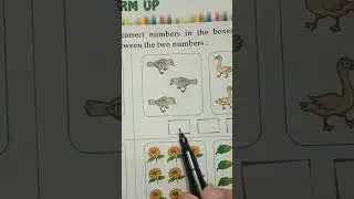 Count & Write Number of Domestic Penguin