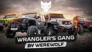 WRANGLER'S GANG  by Werewolf