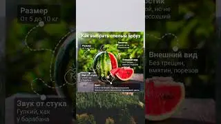 Как выбрать спелый арбуз 🍉 #арбуз #еда #лето #вкусно #ягоды