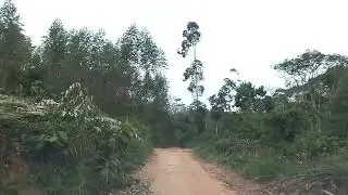 ULTIMA CORRIDA DE SETEMBRO