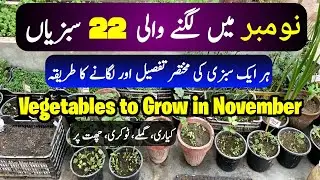Vegetables to Grow for Winter in November | 22 November Vegetables to Grow At Home | Nov/Dec Veggies