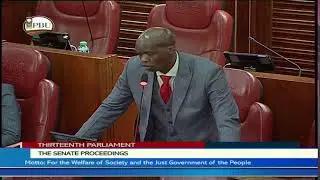 The Senate Plenary, Wednesday 14th June 2023 .Afternoon Session.