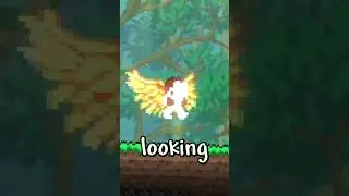 Terraria items that you forgot about...