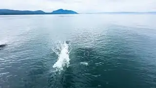 The Beauty of Alaska