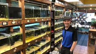 RARE NANO FISH, EXOTIC BETTAS, and LOTS of GUPPY STRAINS in this PRIVATE FISH STORE TOUR