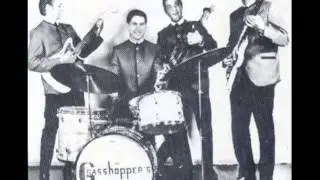 THE GRASSHOPPERS - THE WASP