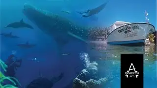 Afronterizos Utila