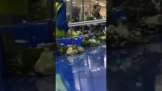 Что убивает наш бизнес. Цветы. Блог 