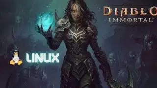 Diablo Immortal rodando no Linux