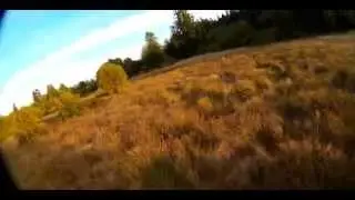 Tuning luxfloat. SRD250 FPV racing drone.