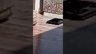 Как снять стекло с планшета без фена