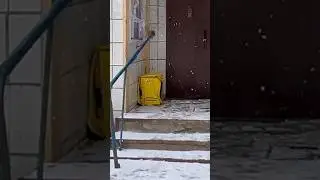 Сумку потерял #яндекс #доставка #сумка #потеря #прикол #юмор #video #funny #шутка #белгород #like