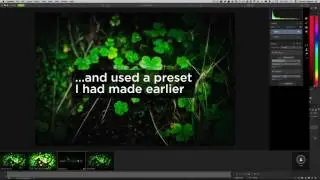 Using Luminar as a Plugin
