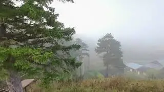 Видеозарисовка: 