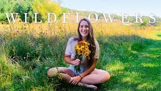 She Transformed Her Lawn Into A Wildflower Oasis