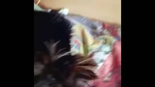 Зоопарк
