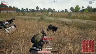 REDZONE!!!!!