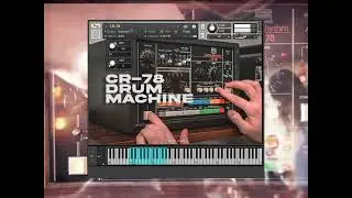 CR-78 VST: Iconic Sound | TXVXN VST