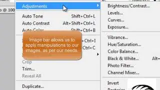 THE MENU BAR