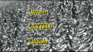 Gaztelu