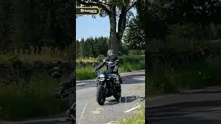 2024 Husqvarna Svartpilen 401 - Dirt and Street
